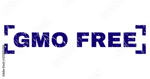 GMO FREE text seal imprint with distress style. Text tag is placed between corners. Blue vector rubber print of GMO FREE with dirty texture.
