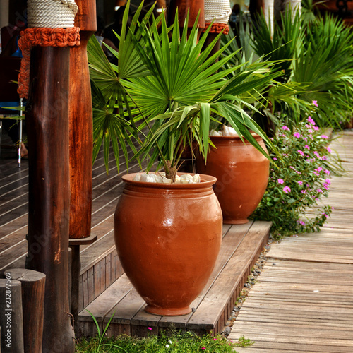 Patio interior. Outdoor patio. Brown pots with decorative plants on a terrace.