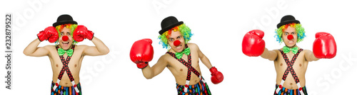 Clown with boxing gloves isolated on the white © Elnur
