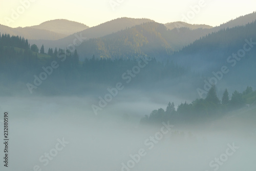 Beautiful morning panorama of forest covered by low clouds. Autumn fog on the mountain hills. Misty fall woodland. Sunrise in forested mountain slope..