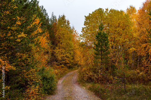 Canvastavla Nature in fall