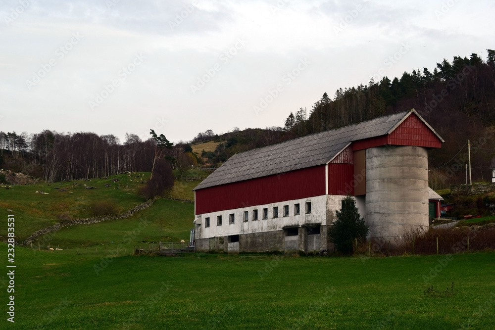 Obraz premium Typical cattle farm in Norway. Life in the village and agriculture. Farm on the side of a hill.