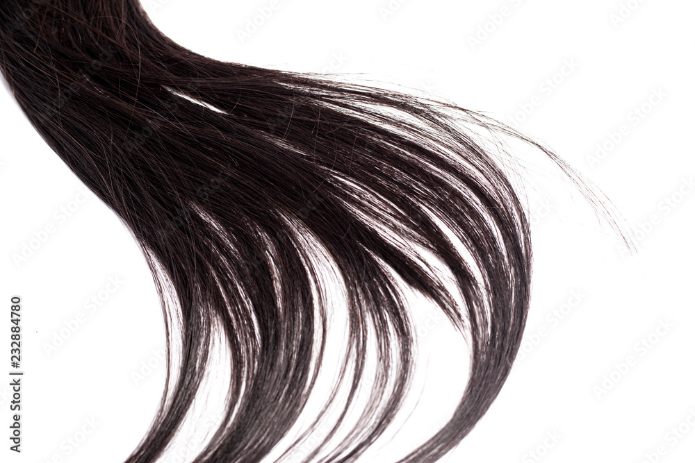 Black Hair Isolated on White Black Hair Isolated on White