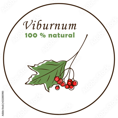 Viburnum berry icon vector illustration on white background