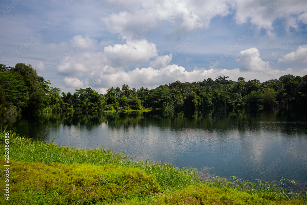 lake in forest