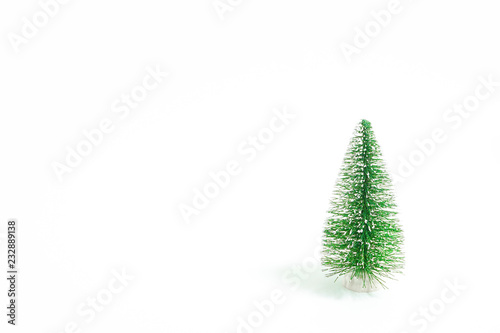 Winter tree. Fir tree. 冬の樹木 モミの木