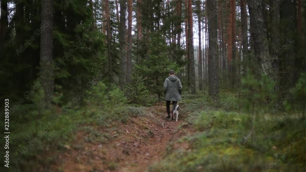 young man in a green jacket walks with a dog in the forest. Hike on nature with a pet. young man in a green jacket walks with a dog in the forest. Hike on nature with a pet.