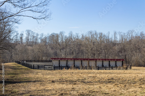 Rear view of wall of mirrors at an outdoor dressage ring, winter, horizontal aspect