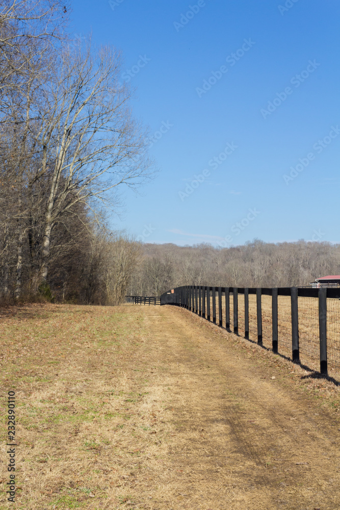 Perspective view of black fencing in a winter landscape, vertical aspect