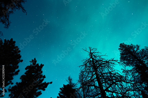 Turquoise Night Sky Stars