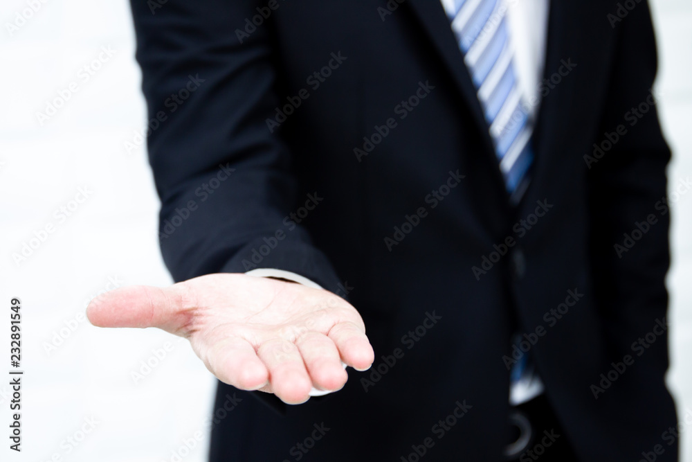 Portrait of a business man showing his hand in the front. Portrait of a business man showing his hand in the front.