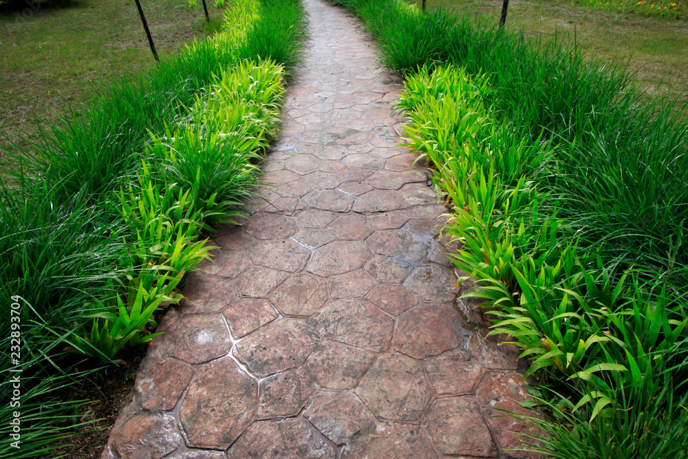 Obraz premium path in the park