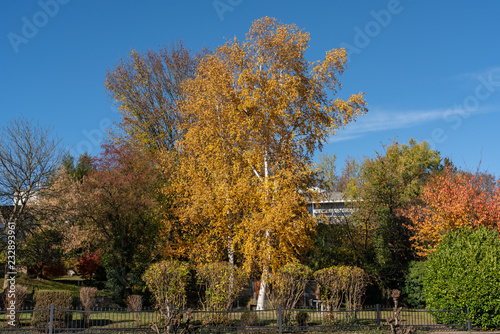 Wonderful autumn colors