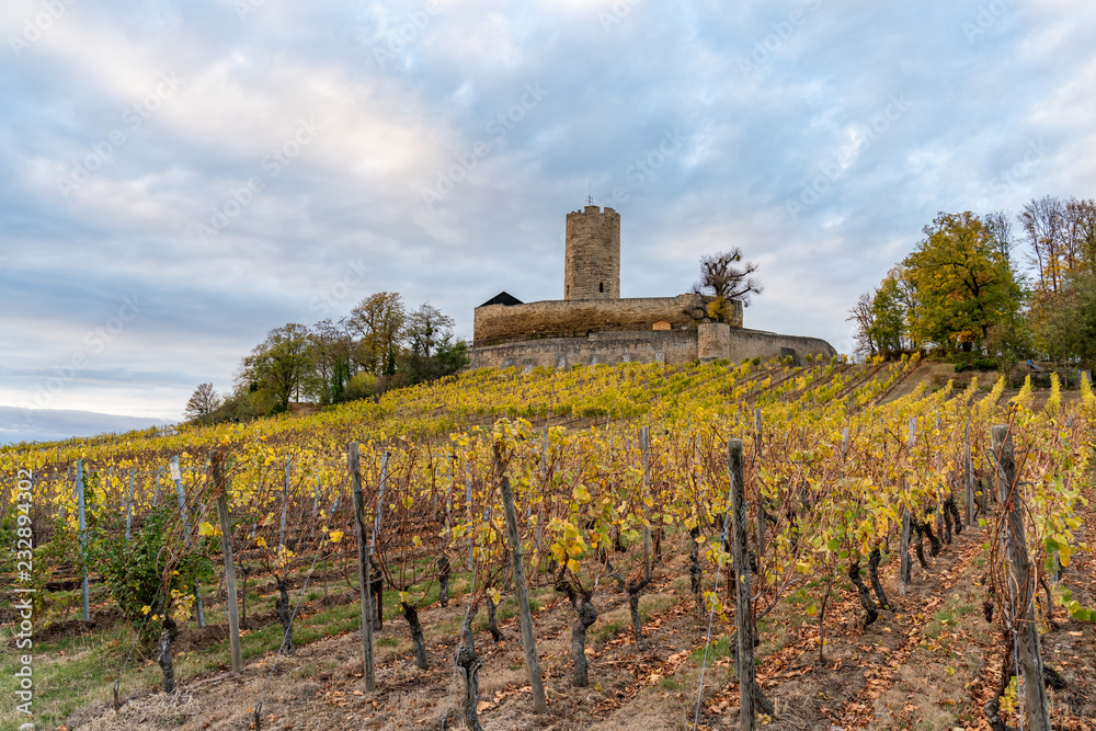 Autumn vineyard at castle Steinsberg