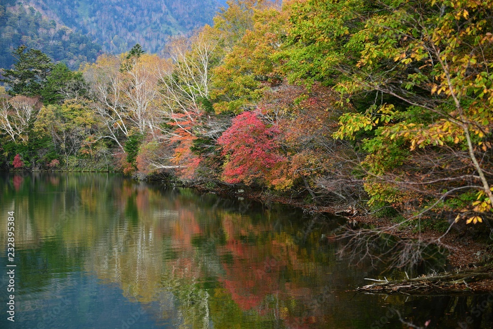 奥日光湯ノ湖の紅葉シーン