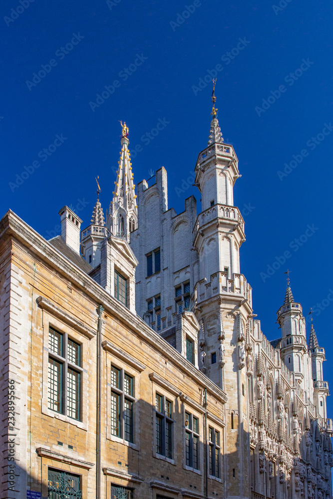 Fototapeta premium ブリュッセル