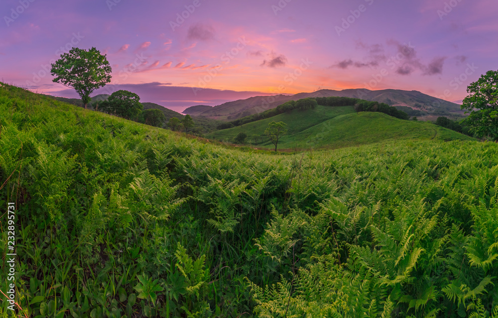 Obraz premium Evening over the hills