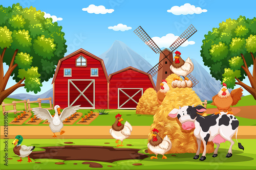 Animal at the farm