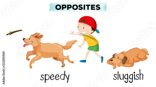 english vocabulary opposite word