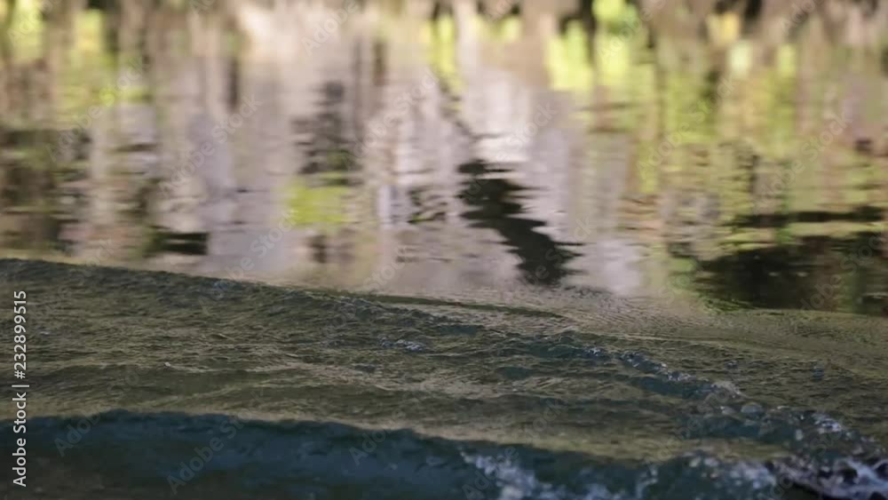 Duck swimming in the water Duck swimming in the water