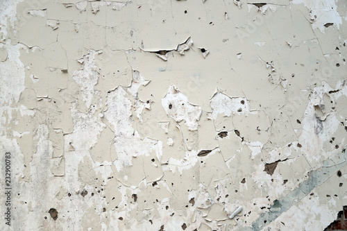 Fototapeta Naklejka Na Ścianę i Meble -  Crackled pealing white paint on wall, with textured look and feel.