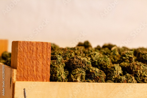 Obraz na płótnie Close up of a crate full of bright green marijuana buds showing the corner part of the wooden crate and a mound of buds. w salonie