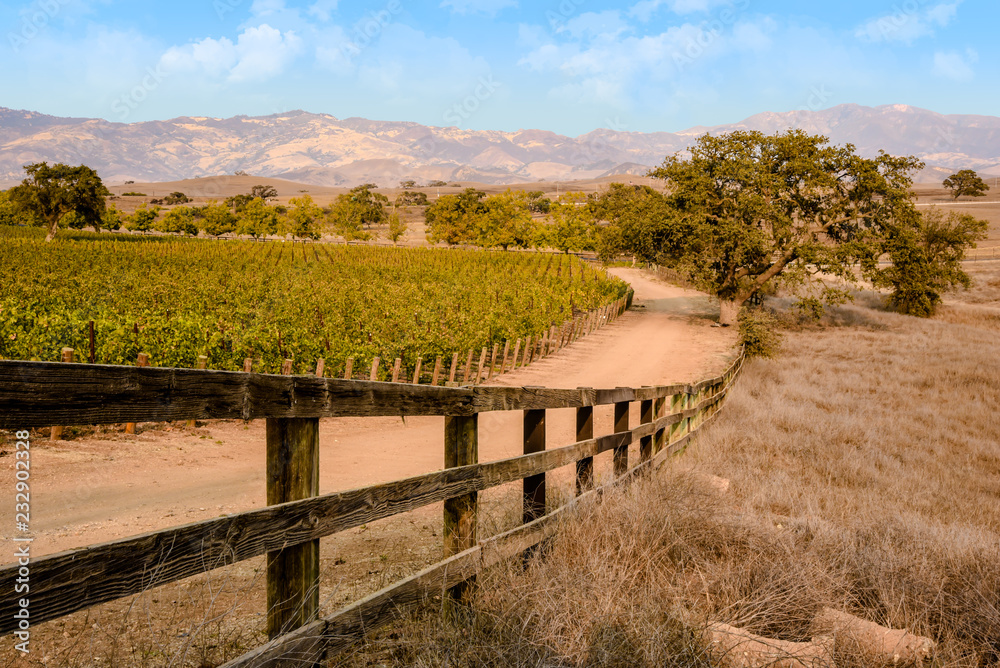 Vineyard country in California