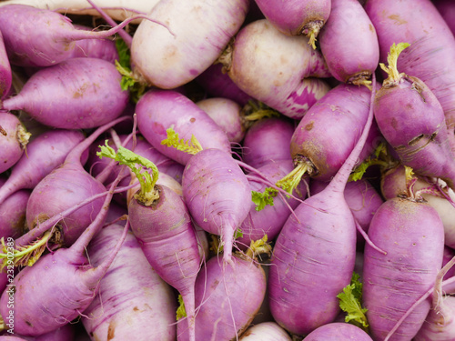 over all pattern of purple radishes 
