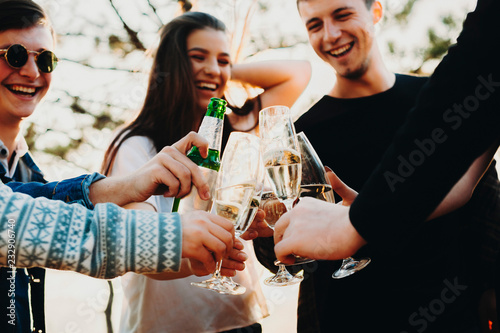 Group of excited young people laughing and clinking glasses of alcohol with crop friends while spending time in nature on sunny day. Friends clinking glasses and celebrating in nature