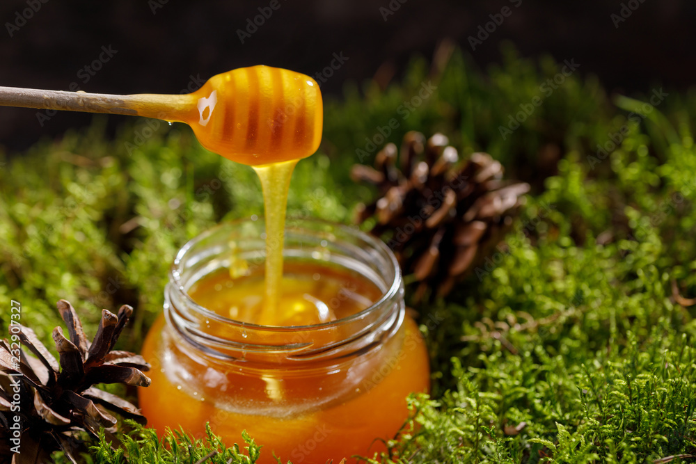 Fragrant fragrant honey in a glass jar standing on the forest moss. Fragrant fragrant honey in a glass jar standing on the forest moss.
