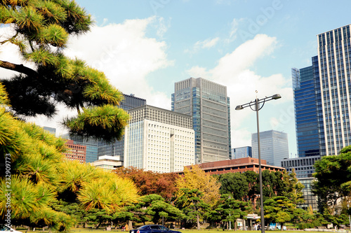 Cityscape of Otemachi, Tokyo. Near of Imperial Palace.