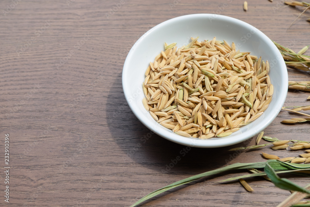 Organic Paddy Seeds, Unmilled Rice on wood background with copy space, healthy food...