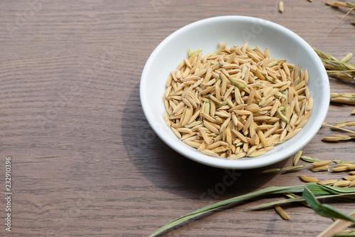 Organic Paddy Seeds, Unmilled Rice on wood background with copy space, healthy food...