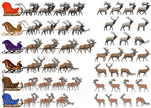 Collection of different species of red deer and deer sleds