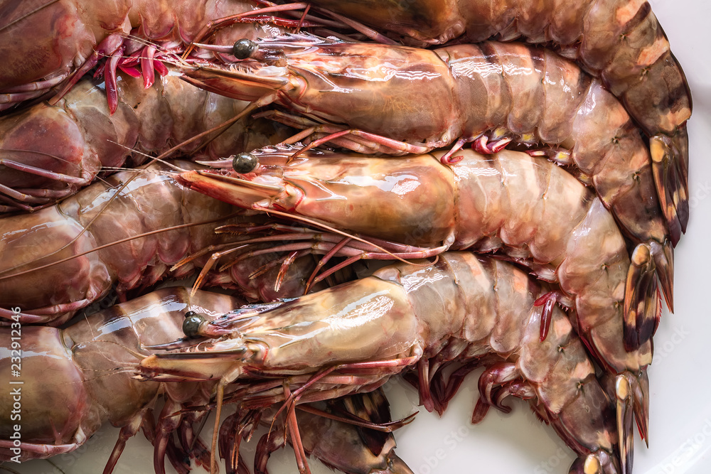 Close up Raw Fresh Tiger Prawn on white background, Seafood concept. Close up Raw Fresh Tiger Prawn on white background, Seafood concept.