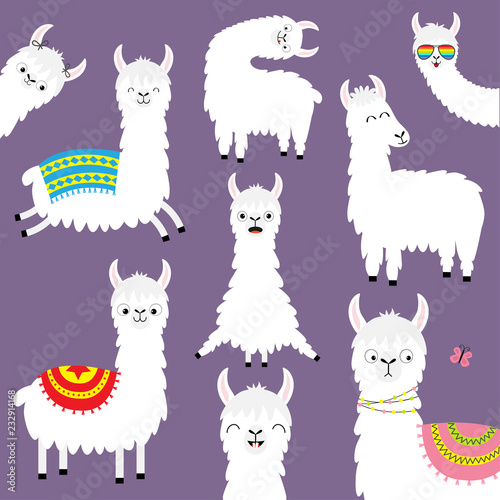 Alpaca llama set. Childish baby collection. Cute cartoon funny kawaii character. Fluffy hair fur. Emotions. T-shirt, greeting card, poster template print. Flat design. Violet background.