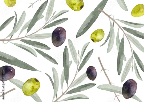 Tapety Liści oliwnych i jagody tła akwarela