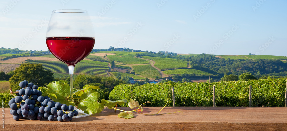 Verre de vin rouge sur paysage de vigne Photos | Adobe Stock