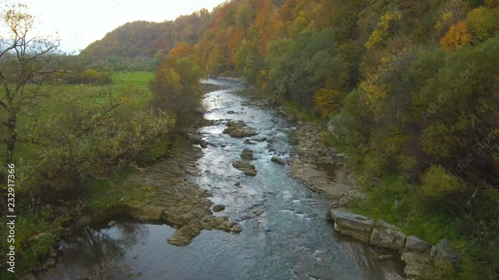 Aerial, top view from Drone: flying over the mountain with forest and river. Forest yellow autumn color. River at the foot of the mountain. Aerial, top view from Drone: flying over the mountain with forest and river. Forest yellow autumn color. River at the foot of the mountain.