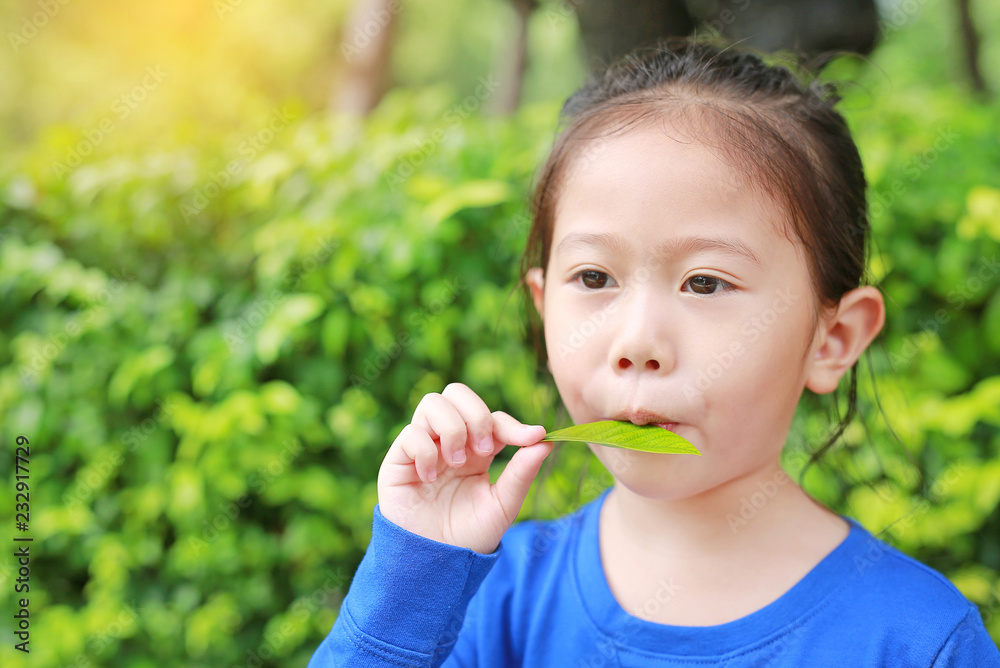 Child girl plays a melody by blowing air through the mouth with a leaf in the summer garden. Child girl plays a melody by blowing air through the mouth with a leaf in the summer garden.