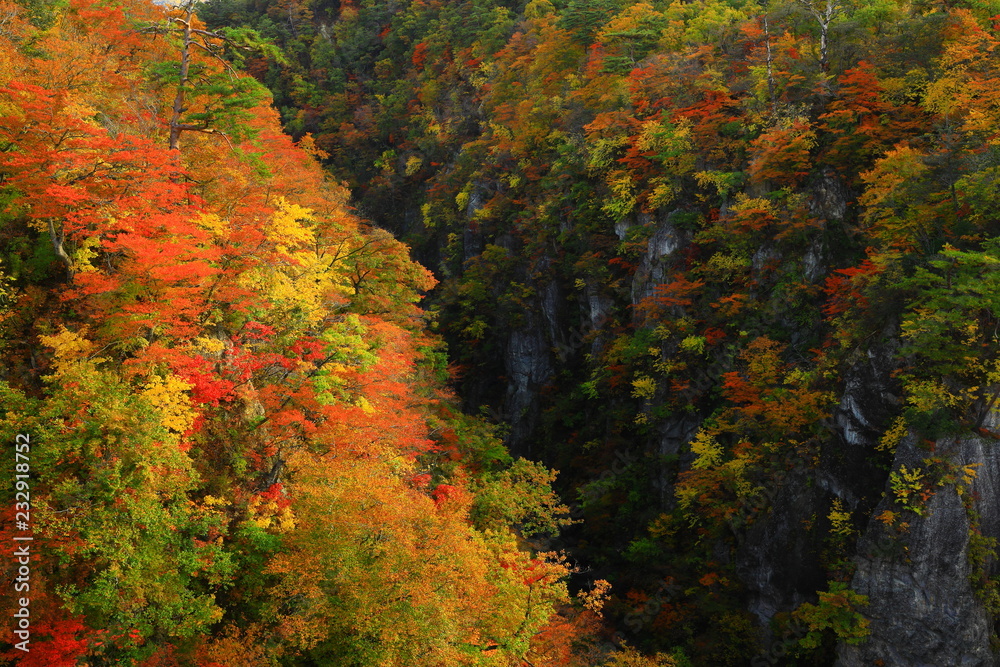 紅葉の鳴子峡