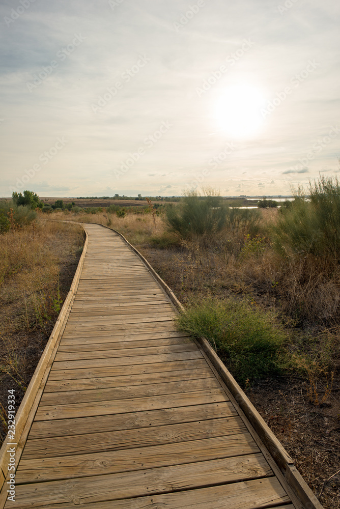 Wooden path in the tables of daimiel, Ciudad real Wooden path in the tables of daimiel, Ciudad real