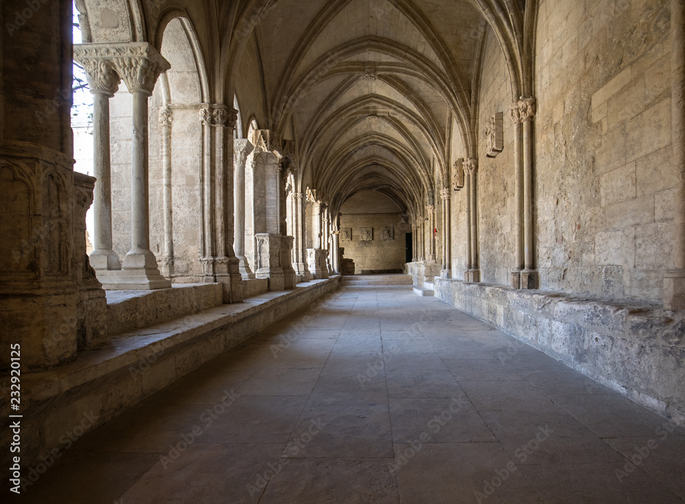  Romanesque Cloisters Church of Saint Trophime Cathedral in Arles. Provence,  France