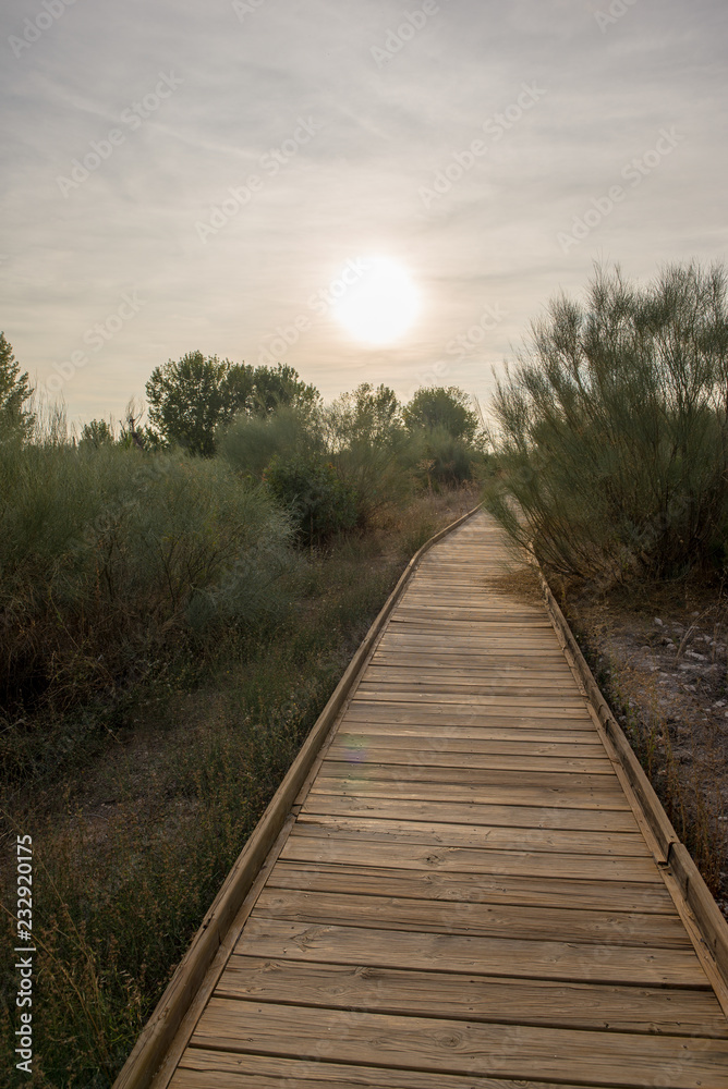 Obraz premium Wooden path in the tables of daimiel, Ciudad real