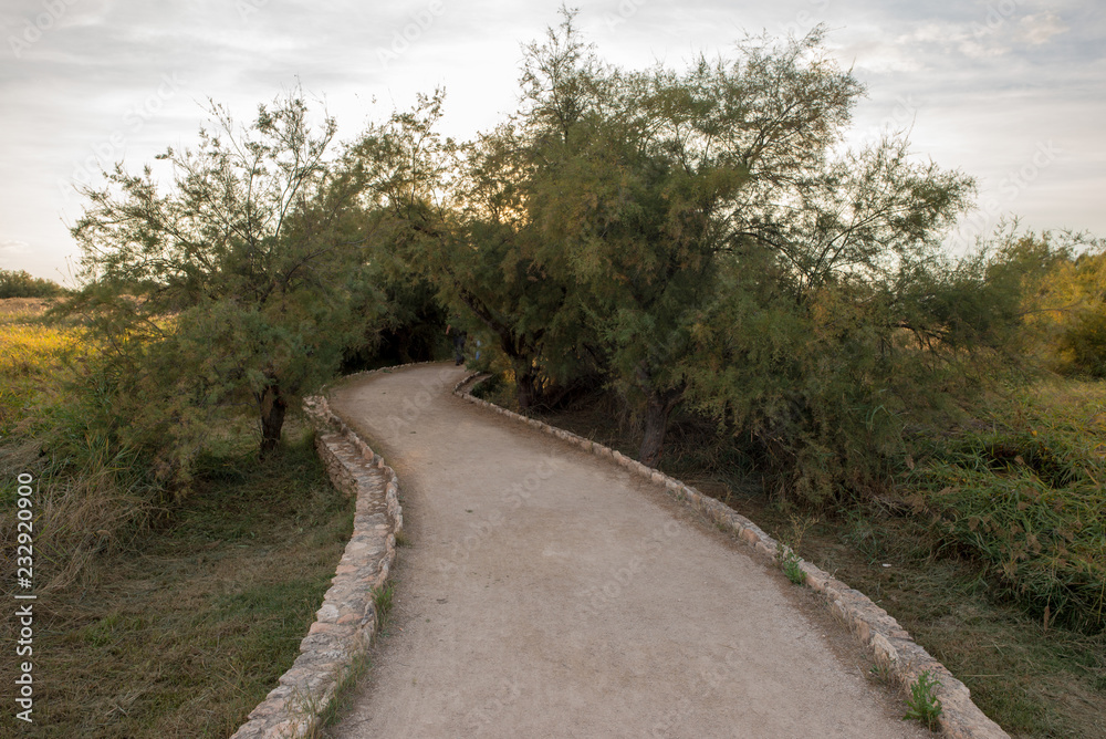 Wooden path in the tables of daimiel, Ciudad real