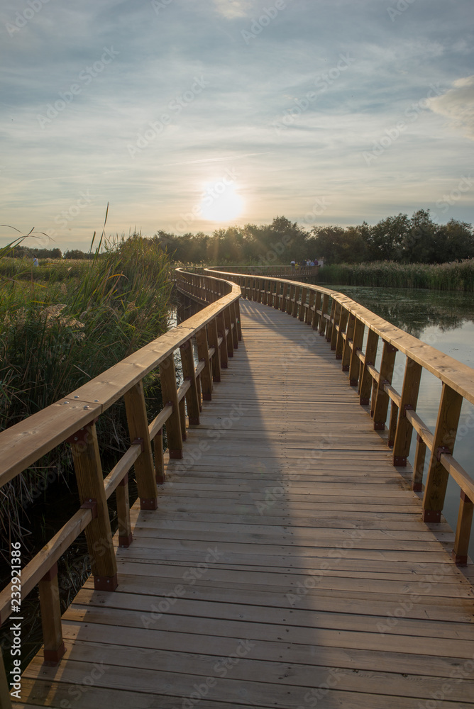 Wooden walkway over the water of daimiel tables