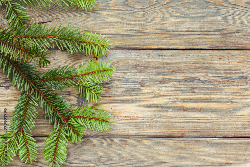 Naklejka premium Christmas pine tree branches on wooden board.