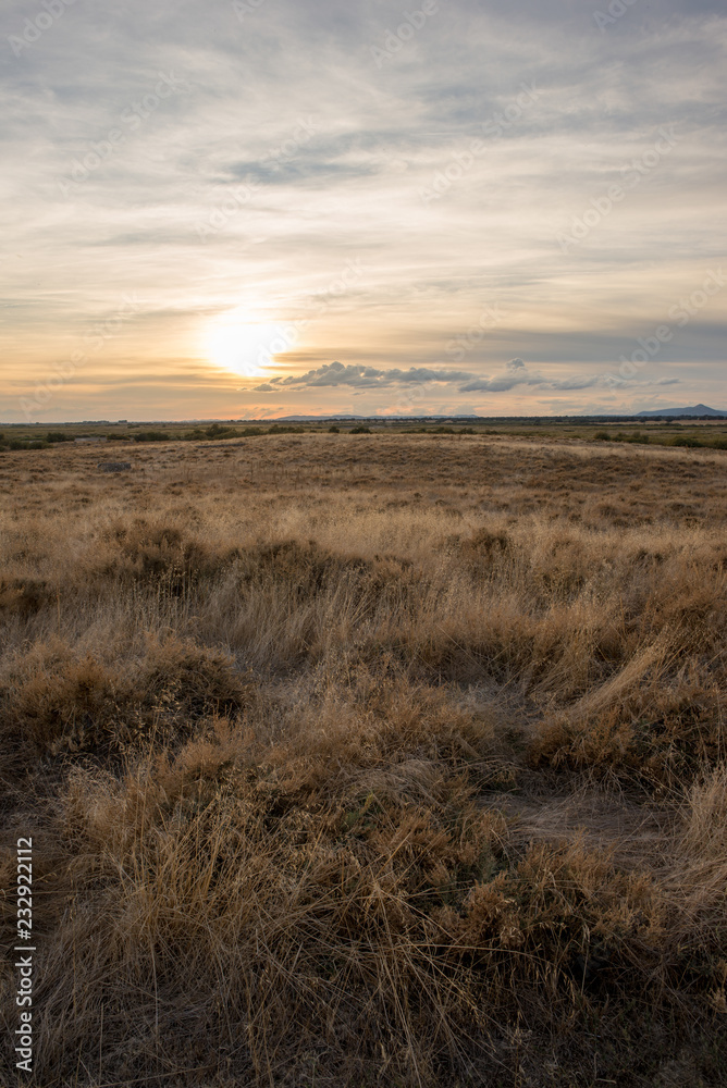 Sunset landscape at daimiel tables, Ciudad real