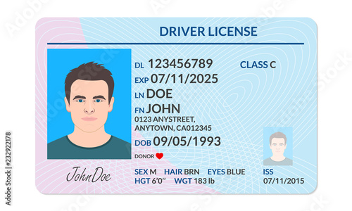 Driver license with male photo. Identification or ID card template. Vector illustration. photo