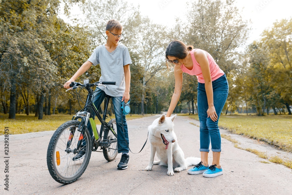 Obraz premium Children teenagers on the road in the park with white dog Husky with bike talking, smiling